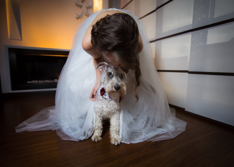 Fotógrafos para bodas en Colombia mascotas - Monett Weddings